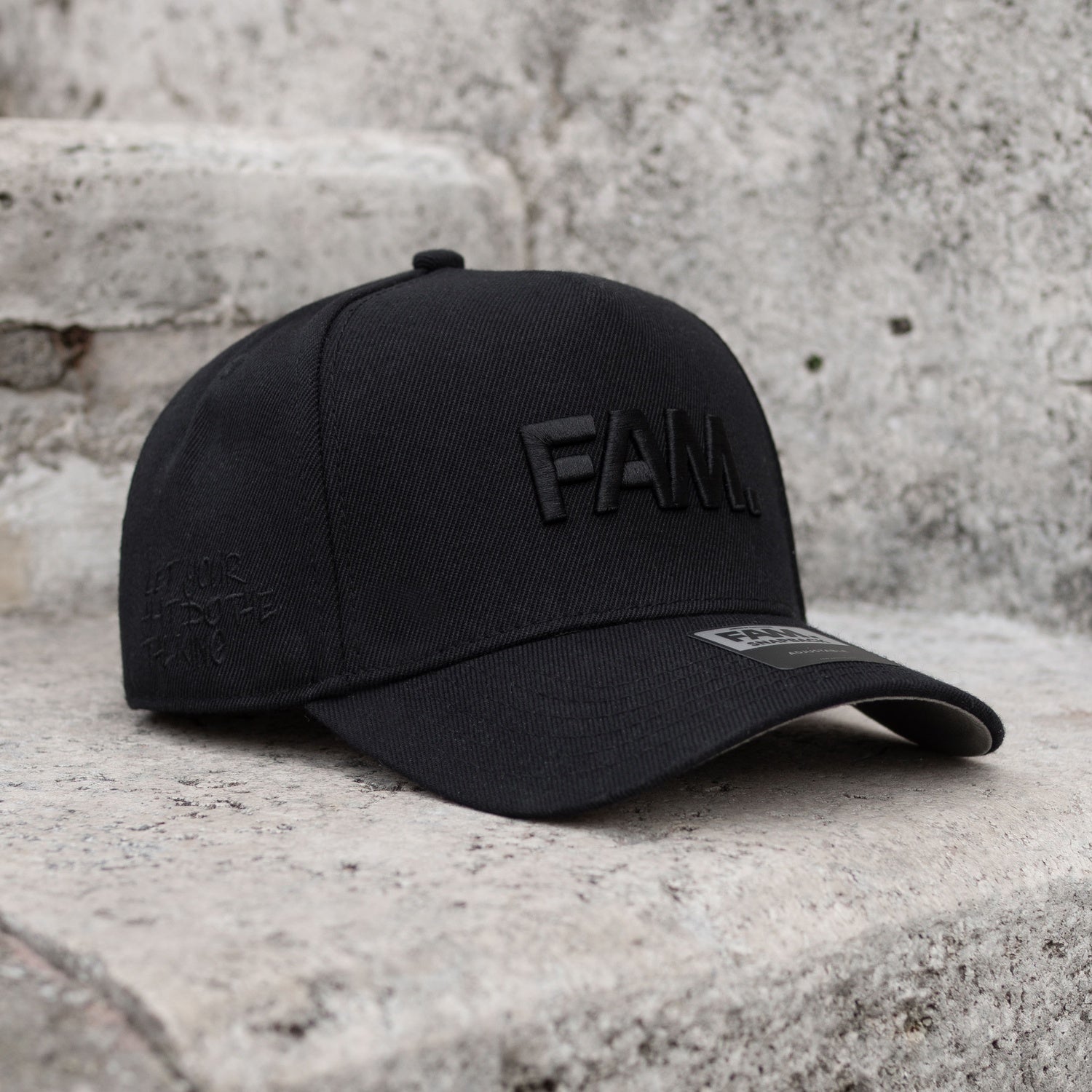 FAM.CAP CORE BLACK ON BLACK SNAPBACK /GREY UV